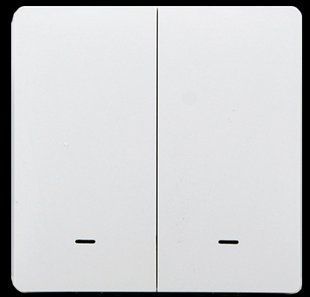 Розумний будинок: клавішна кнопка-вимикач ZigBee Tervix Pro Line Push Button (2 клавіші), на батарейках 433021 433021 фото