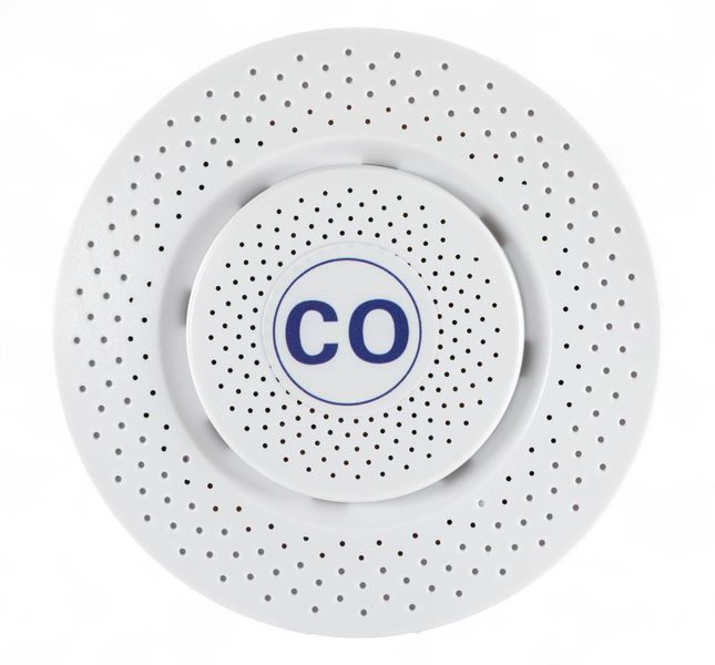 Автономний бездротовий датчик рівня чадного газу CO Tervix Pro Line Zigbee CO 486121 486121 фото