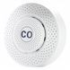 Автономний бездротовий датчик рівня чадного газу CO Tervix Pro Line Zigbee CO 486121 486121 фото 1